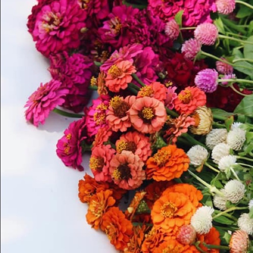 Meet your Posher, Kathleen